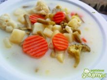 Zupa z fasolki szparagowej 