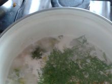 Zupka brokułowo-koperkowa