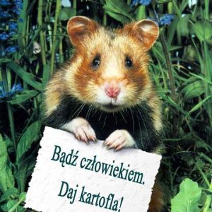 januszS