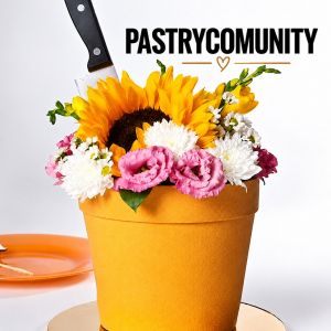 Pastrycomunity