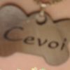 cevoi