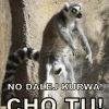 LEMUR13579