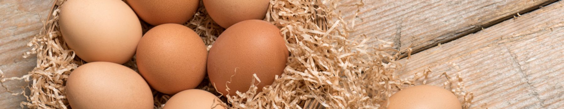 Sprawdzone przepisy z dodatkiem jajek