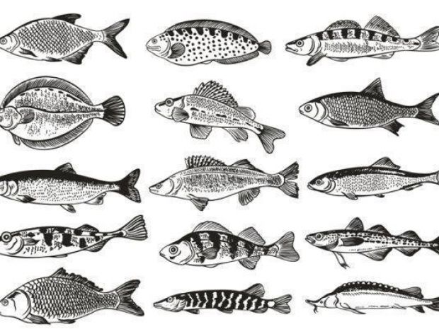 7 przykazań na temat ryb