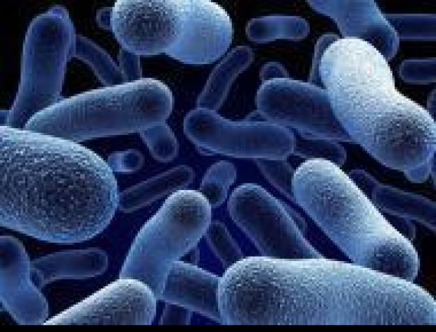 Bakterie E. coli w czeskiej wodzie mineralnej 