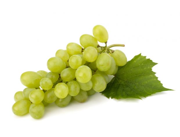 Winorośl i winogrona w pigułce