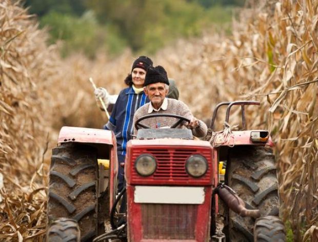 Chłop z babą jadą traktorem