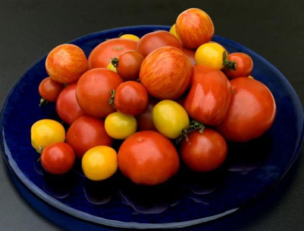 Dlaczego warto jeść pomidory