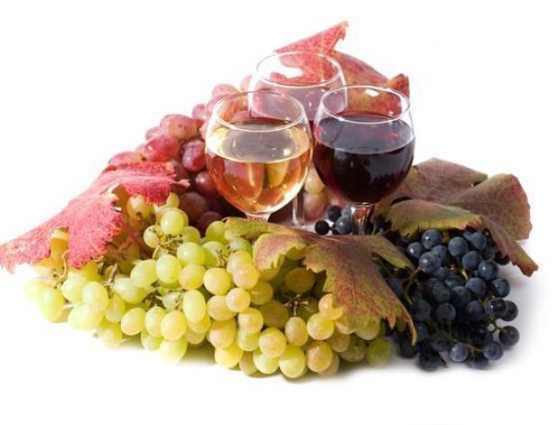 Domowe wino – poradnik - fermentacja wina
