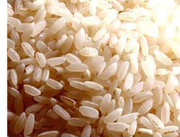 Gatunki ryżu