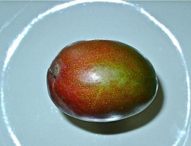 Historia i życie codzienne mango