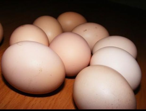 Jajko świeże czy nie świeże ?