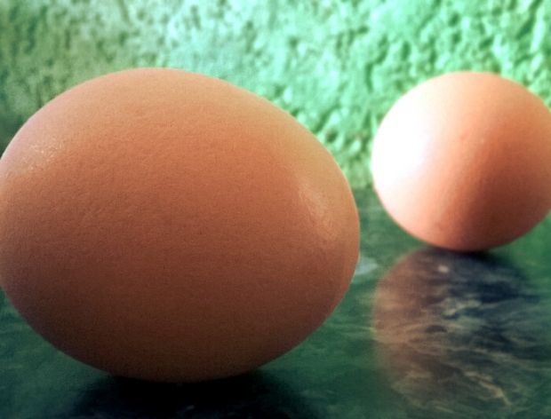 Jak prosto i szybko sprawdzić świeżość jajek? 