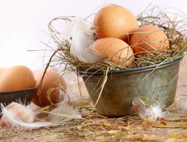 Jak przechowywać białka jajek?