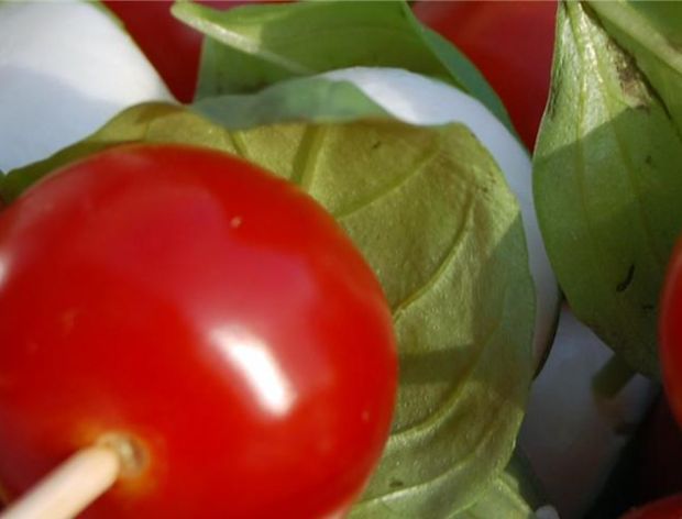 Jak przyspieszyć dojrzewanie pomidorów?