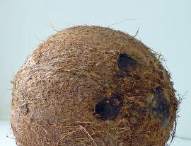 Jak rozłupać orzech kokosa?