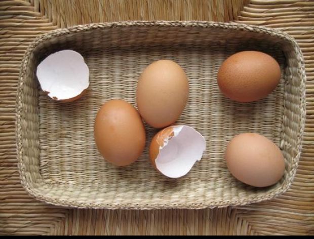 Jak sprawdzić świeżość jajek