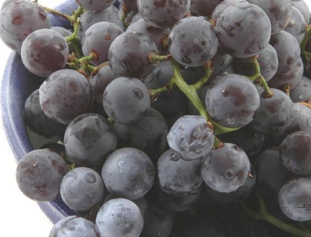 Kuracja winogronowa