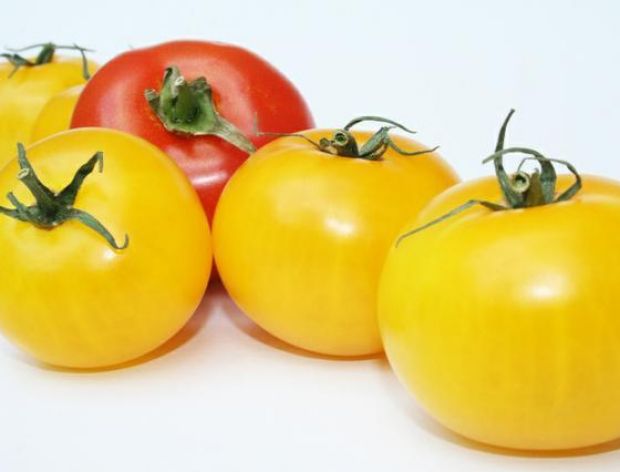 Najsmaczniejsze odmiany pomidorów.