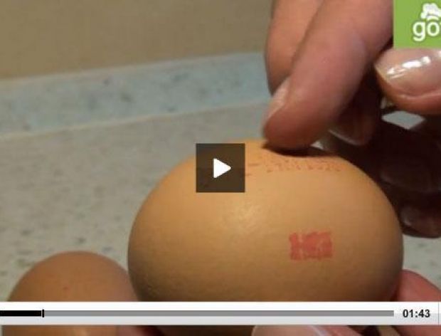 Oznaczenia na jajkach [video]