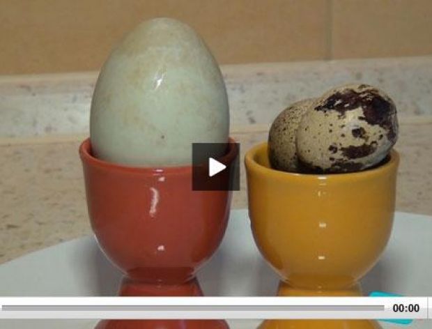Poznaj różnice między jajkami [video]