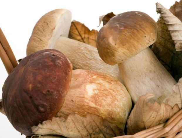Pyszna zupa grzybowa