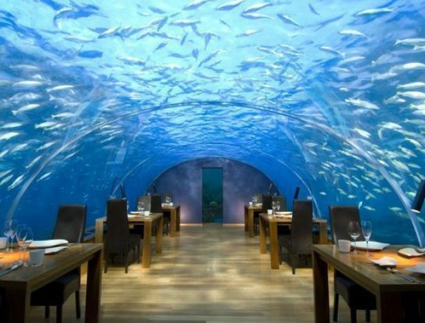 Restauracja pod wodą - galeria