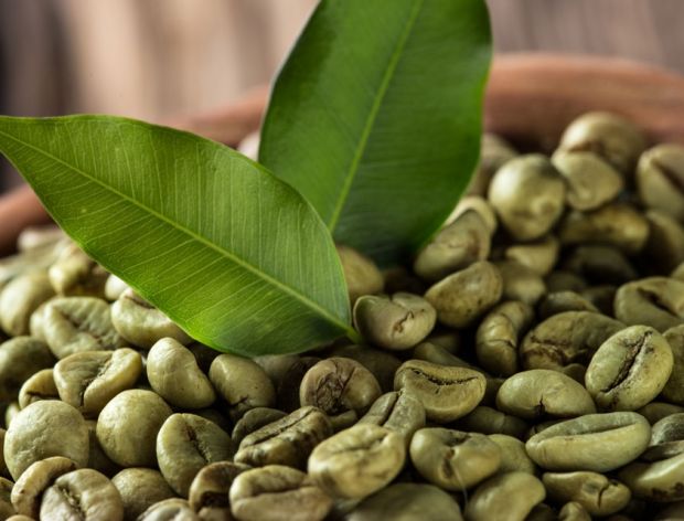 Wszystko co chcesz wiedzieć o zielonej kawie