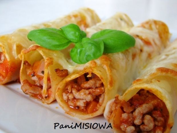 Cannelloni Bologniese