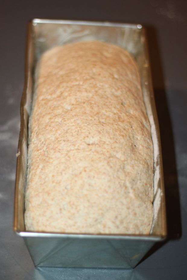 Chleb foremkowy razowy