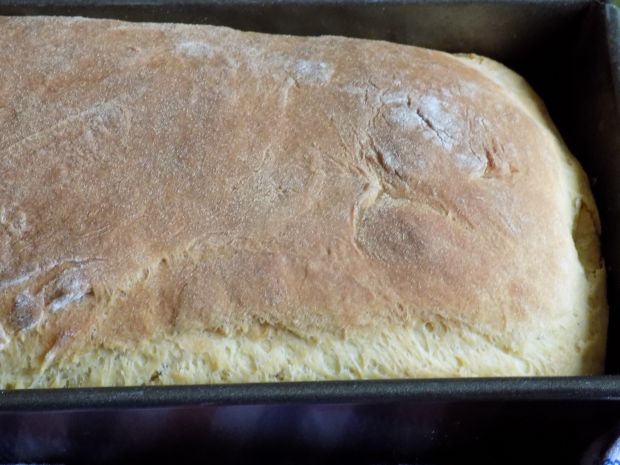 Chleb pszenno-kukurydziany na miodzie 