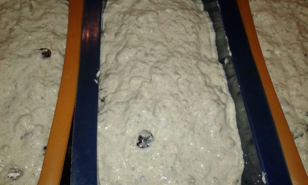 Chlebek rodzynkowo - żurawinowy z chia