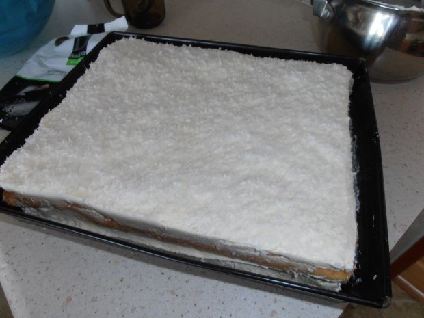 Ciasto Biały puszek