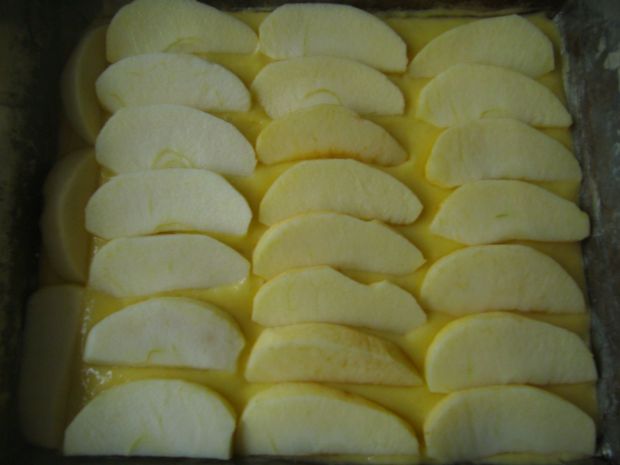 Ciasto kokosowo- biszkoptowe z jabłkami