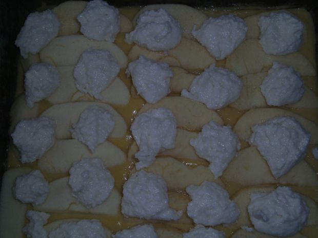 Ciasto kokosowo- biszkoptowe z jabłkami