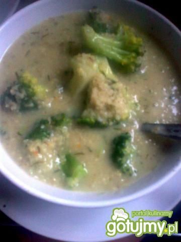 Czosnkowo-brokułowa zupa z kaszą