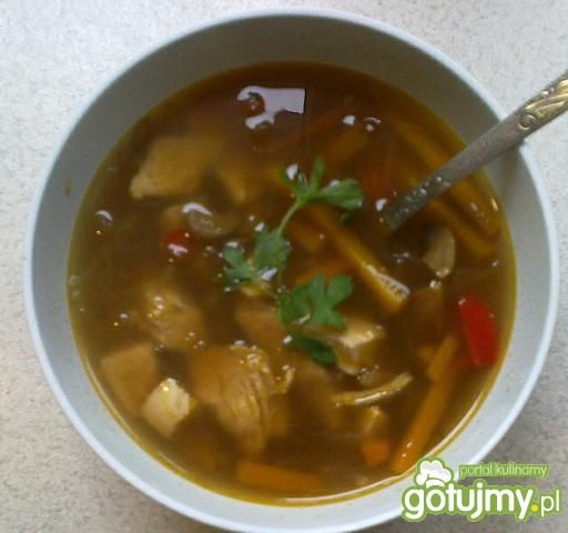 Domowa chińska zupa