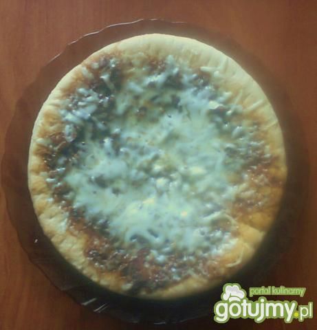 Domowa pizza z serem i pieczarkami Kaja