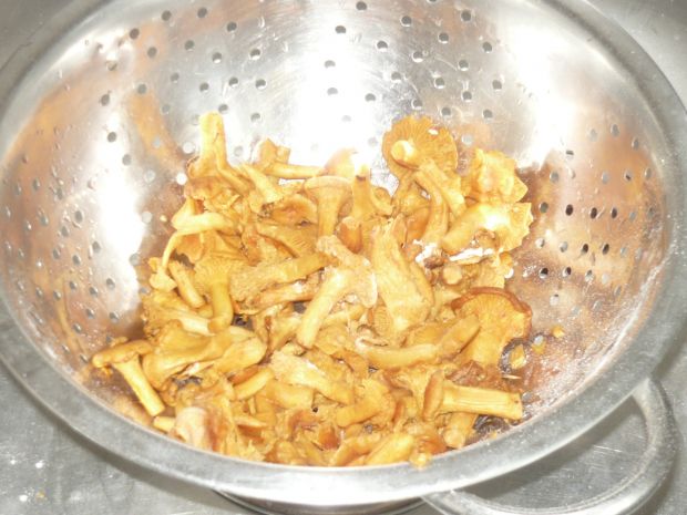 Domowy makaron z kurkami w sosie śmietanowym
