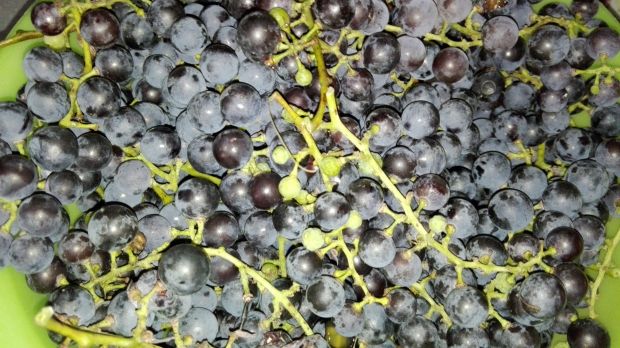 Galaretka z ciemnych winogron