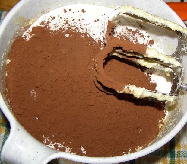 Jabłkowo-śliwkowe ciasto kakaowe z galaretką