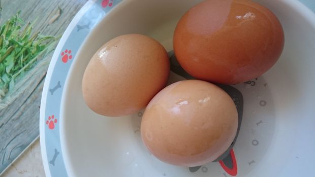 Jajka faszerowane z chrzanem