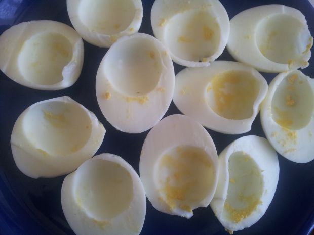 Jajka faszerowane żółtkami kaszą i podagrycznikiem