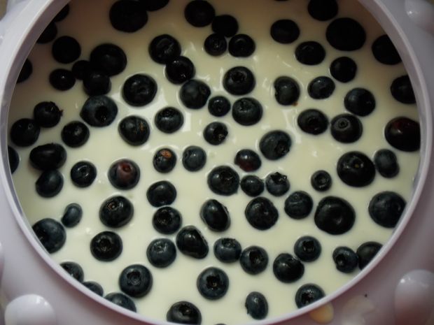 Jogurtowy deser z borówkami amerykańskimi