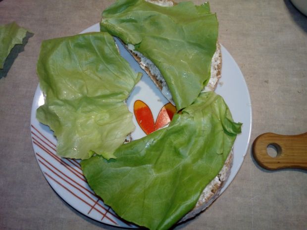 Kanapki z salami i nowalijkami