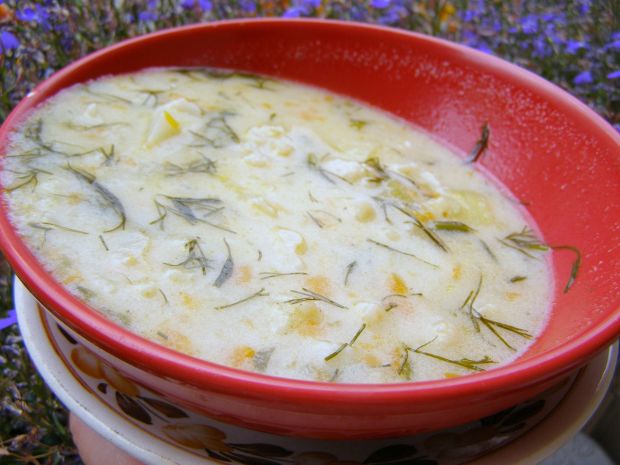Koperkowo-kalafiorowa zupa na maśle i mleku