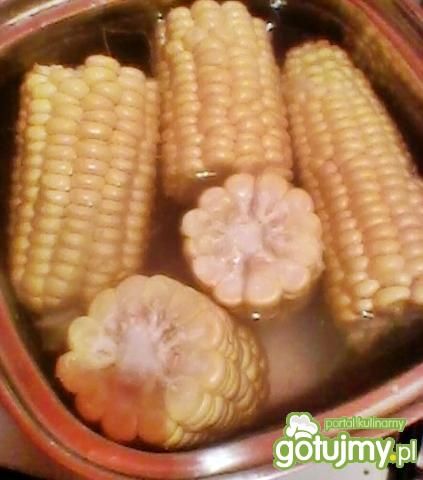 kukurydza gotowana na słodko