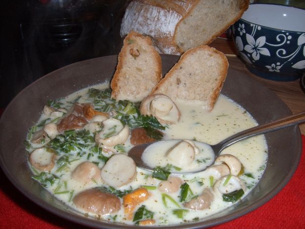Kulajda czeska zupa grzybowa
