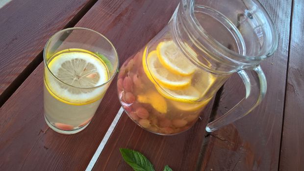 Lemoniada agrestowo-cytrynowa