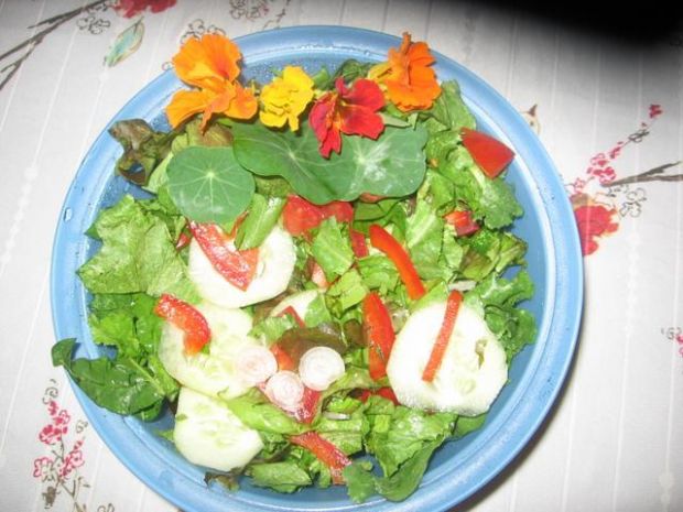 Letnia salatka z ogrodu babci Grazyny